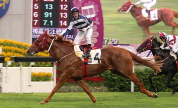 Chairman's Trophy Galibi Packing Whiz