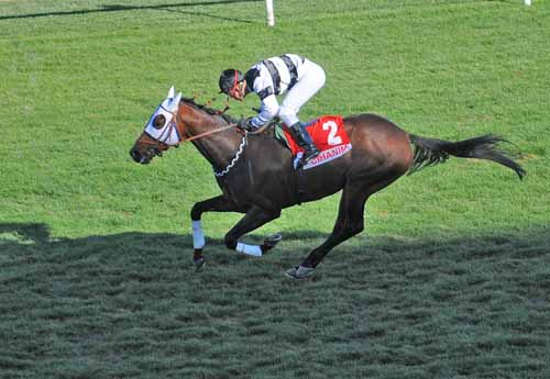 Cihan'ım İsmet İnönü'de Zafere Ulaştı